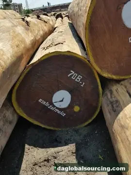 Afrormosia (Assamela) Logs From Congo - Vietnam Buyer Wanted