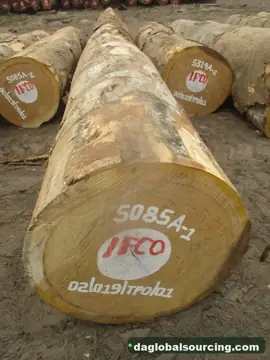Bilinga Logs From Congo - Vietnam Buyer Wanted