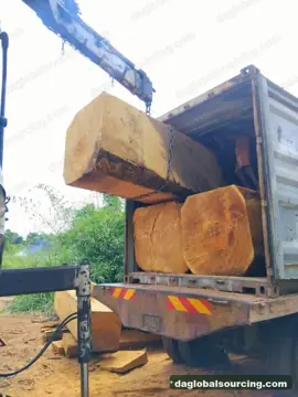 Bilinga from Cameroon — real goods photo 2
