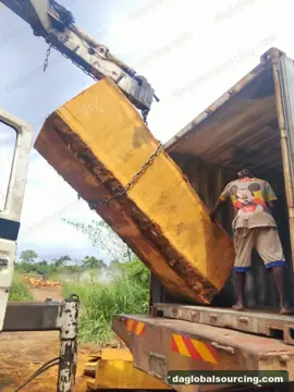 Bilinga Squared Wood From Nigeria - Vietnam Buyer Wanted