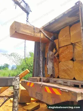 Bilinga from Congo — real goods photo 2