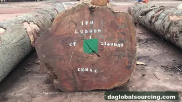 Bosse Logs Wanted - Vietnam Monthly Buyer