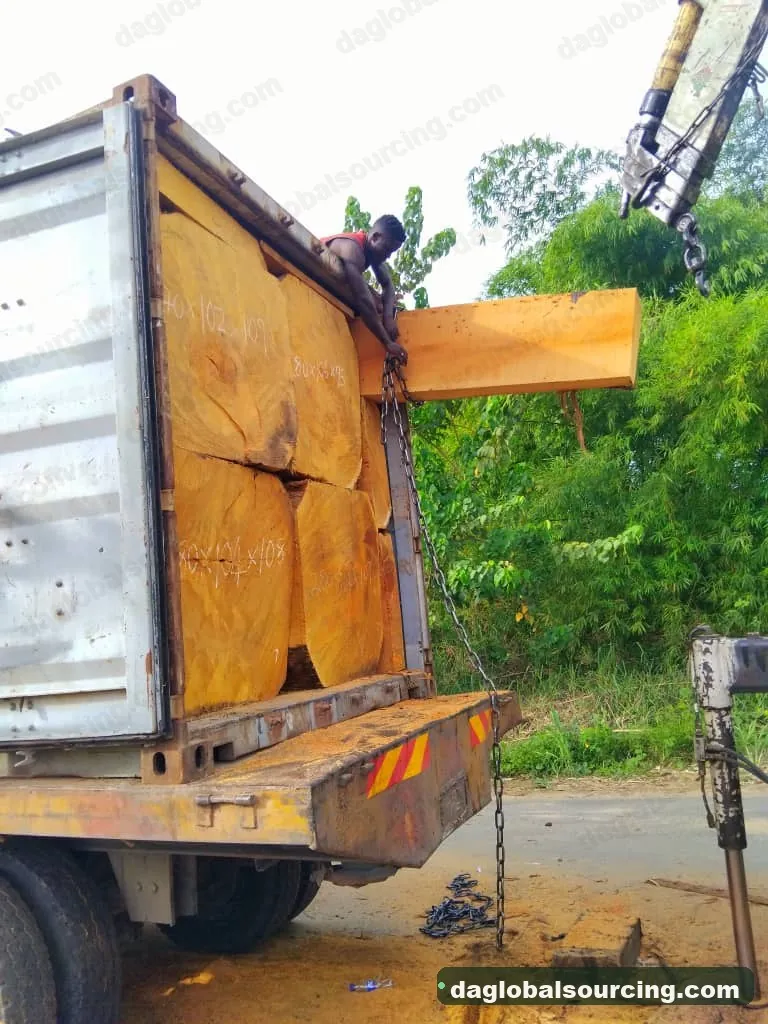 Bilinga squared from Cameroon — goods a Vietnam buyer wants