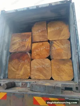 Bilinga from Congo — real goods photo 2