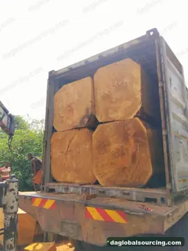 Bilinga from Congo — real goods photo 3