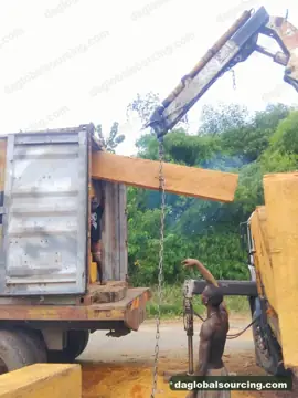 Buying Bilinga Squared Wood From Congo - Long Term Order