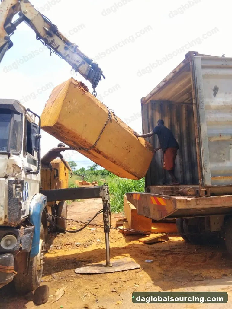 Bilinga squared from Nigeria — goods a Vietnam buyer wants