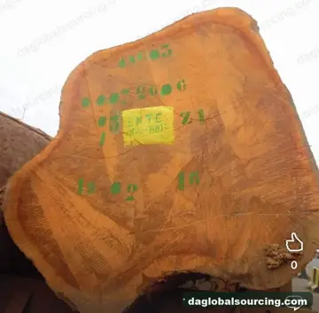 Buying Doussie (Afzelia) Logs From Cameroon - Long Term Order