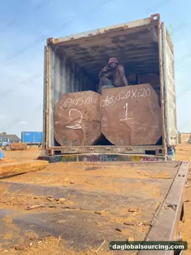 Buying Iroko Logs From Cameroon - Long Term Order