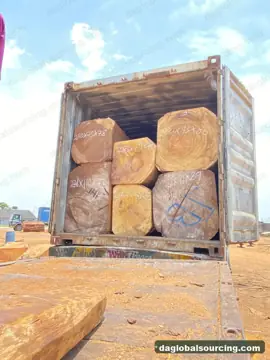 Buying Iroko Squared Wood From Congo - Long Term Order