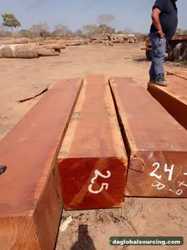 Jatoba from Bolivia — real goods photo 2