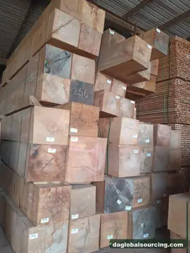 Buying MKB (Maka Kabbes) Logs From Suriname - Long Term Order