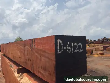 Buying Okan (Denya) Squared Wood From Central African Republic - Long Term Order