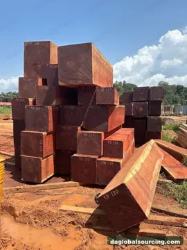 Buying Padouk Squared Wood From Congo - Long Term Order