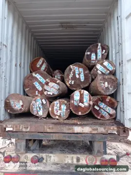 Buying WPL (Witte Pinto Locus) Logs From Suriname - Long Term Order