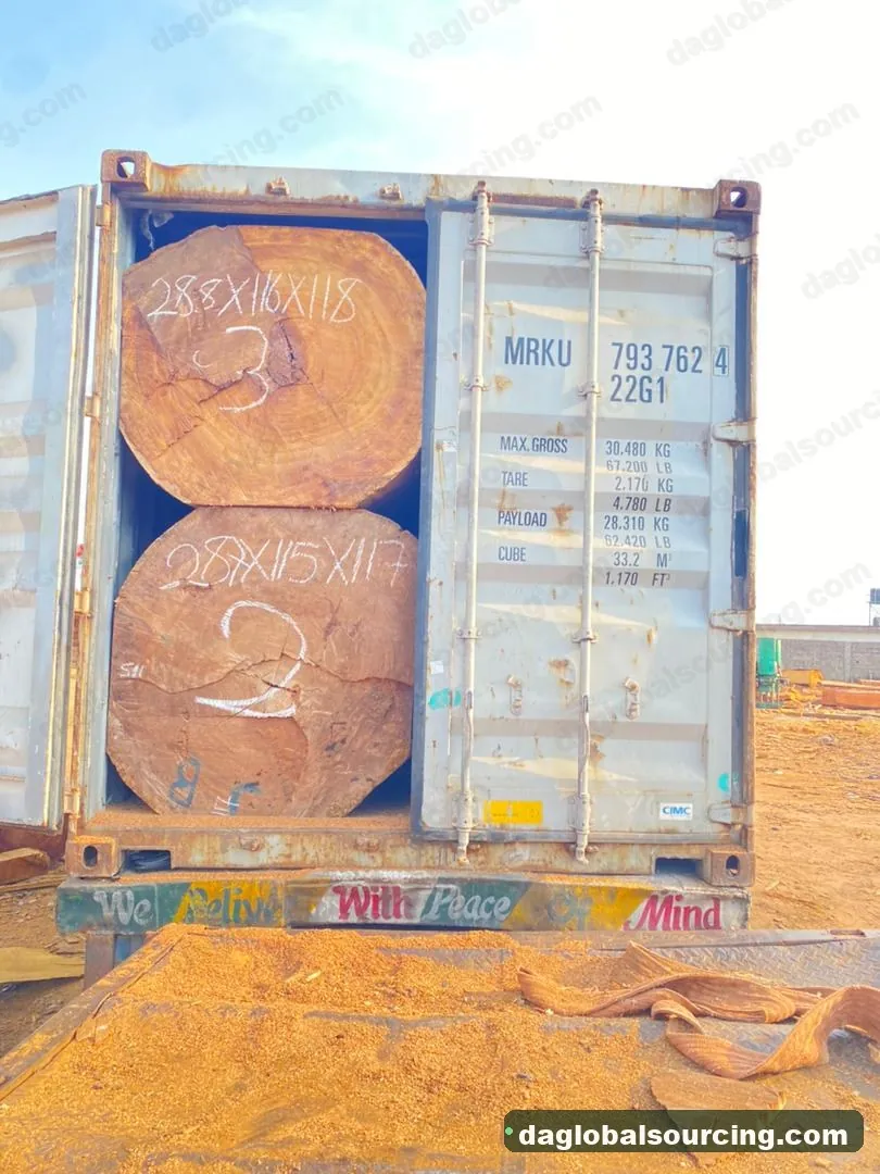 Iroko logs from Cameroon — goods a Vietnam buyer wants