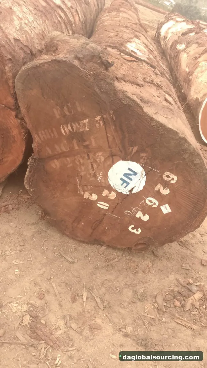 Tali (Ironwood) logs from Cameroon — goods a Vietnam buyer wants