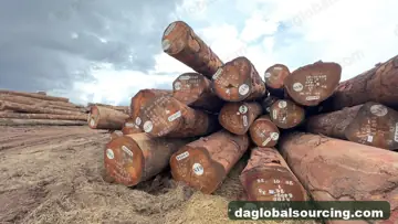 Central African Republic Okan (Denya) Logs Needed By Vietnam Importer