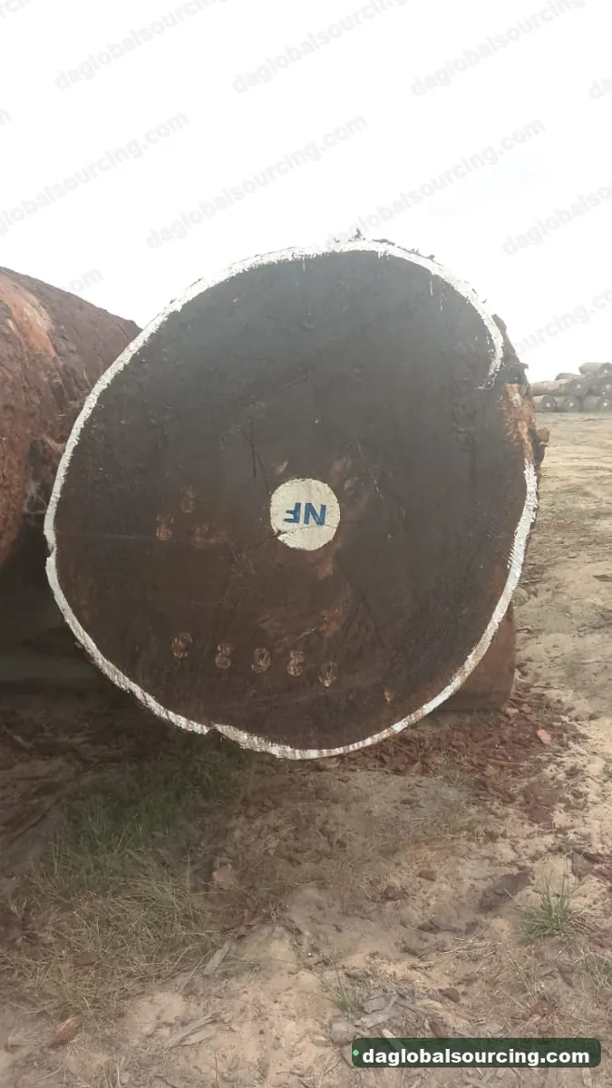 Tali (Ironwood) logs from Central African Republic — goods a Vietnam buyer wants