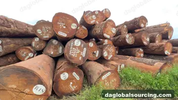 Congo Okan (Denya) Logs Needed By Vietnam Importer