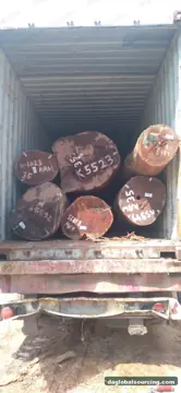 Guyana Cow wood Logs Needed By Vietnam Importer