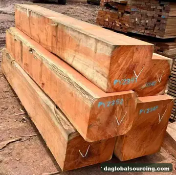 Import Doussie (Afzelia) Squared Wood From Cameroon - Vietnam Buyer
