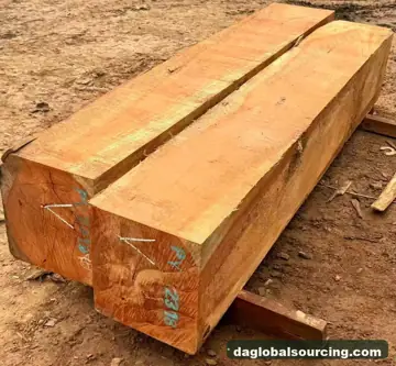 Import Pachyloba (Afzelia) Squared Wood From Central African Republic - Vietnam Buyer