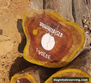 Padouk from Congo — real goods photo 2