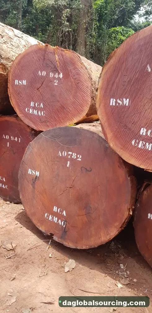 Sapelli (Sapele) logs from Central African Republic — goods a Vietnam buyer wants