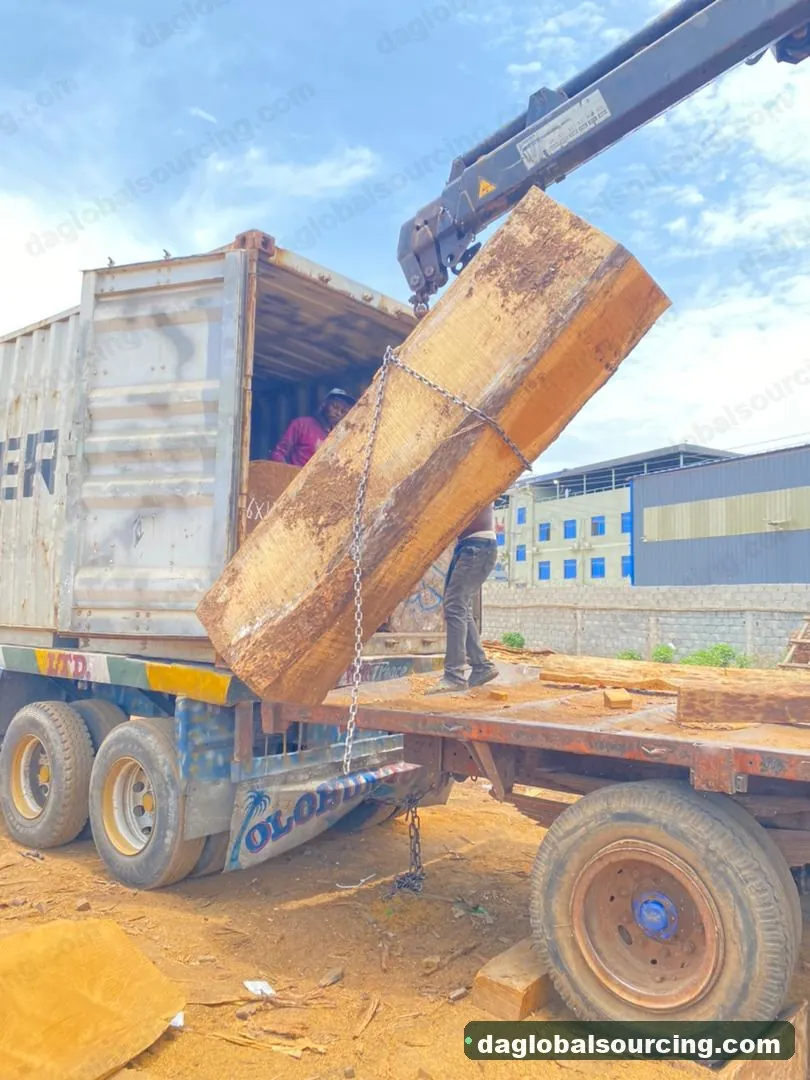 Iroko logs from Cameroon — goods a Vietnam buyer wants