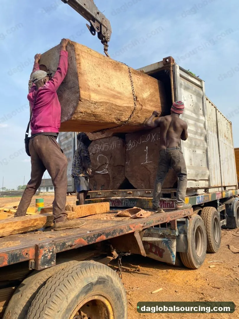 Iroko squared from Congo — goods a Vietnam buyer wants