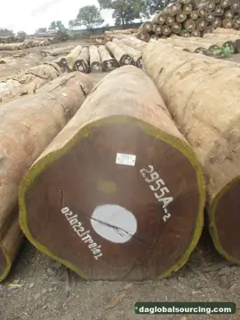 Looking For Afrormosia (Assamela) Suppliers In Congo