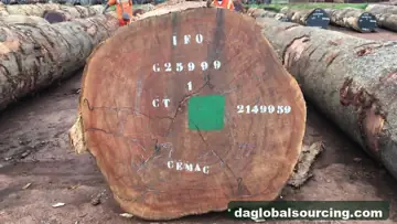 Looking For Bosse Suppliers In Cameroon