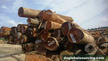 Looking For Cow Wood Logs Suppliers From Guyana