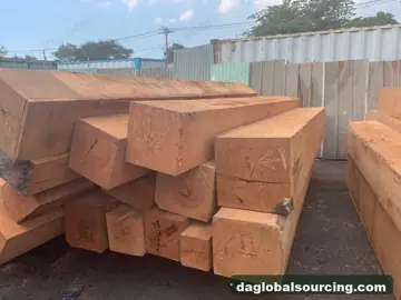 Darina from Guyana — real goods photo 2