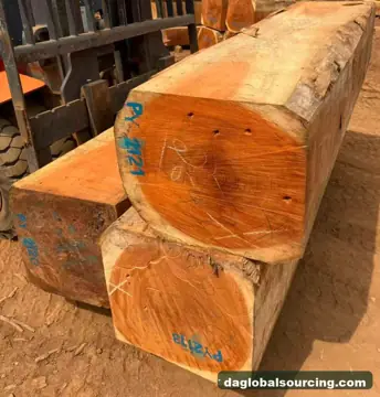Looking For Doussie (Afzelia) Suppliers In Cameroon