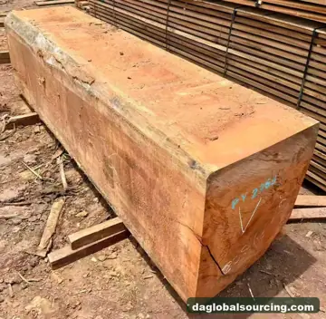 Doussie (Afzelia) from Central African Republic — real goods photo 3