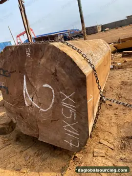 Iroko from Cameroon — real goods photo 3