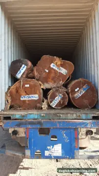 Looking For KAW (Kaw Udu) Suppliers In Suriname