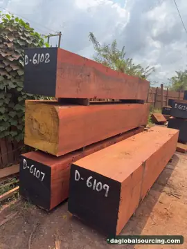 Looking For Okan (Denya) Suppliers In Congo