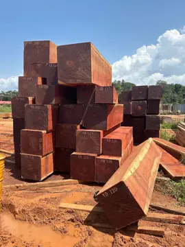 Looking For Padouk Suppliers In Central African Republic