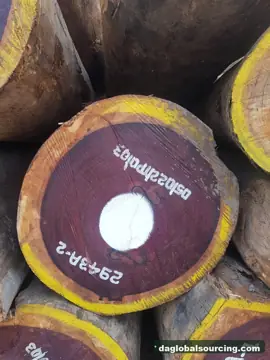 Looking For Padouk Suppliers In Congo