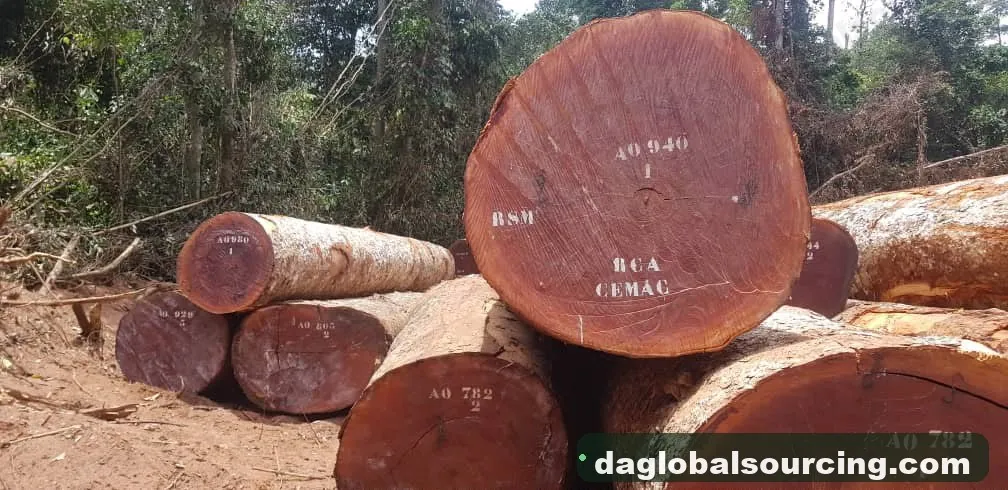 Sapelli (Sapele) timber from Cameroon — goods a Vietnam buyer wants