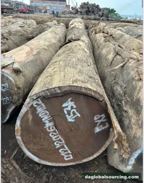 Looking For Wenge Suppliers In Congo