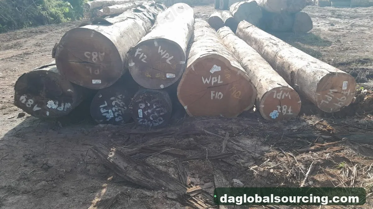 Wpl timber from Suriname — goods a Vietnam buyer wants