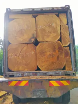 Import Bilinga Squared Timber From Nigeria - Vietnam Buyer