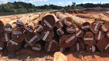 Import Kaw Logs From Suriname - Vietnam Buyer