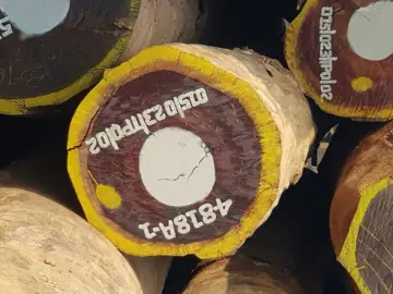 Import Padouk Logs From Congo - Vietnam Buyer
