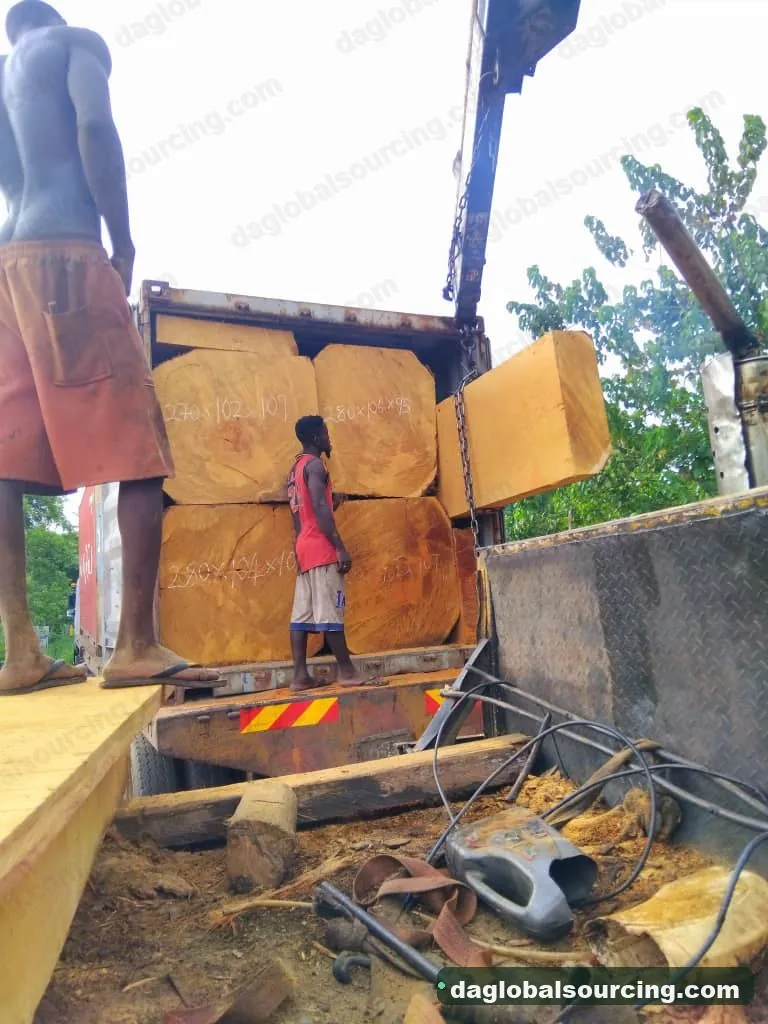 Bilinga squared from Congo — goods a Vietnam buyer wants