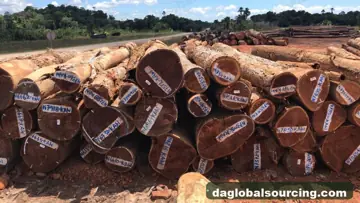 Need Cow wood Logs From Guyana - Monthly Order